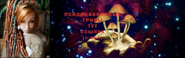 ешки Ельня