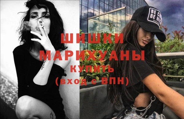 ешки Ельня