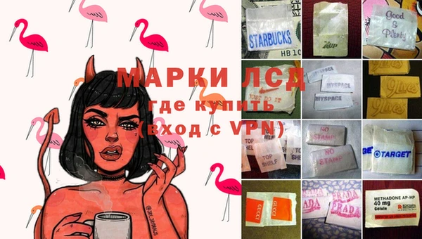 ешки Ельня