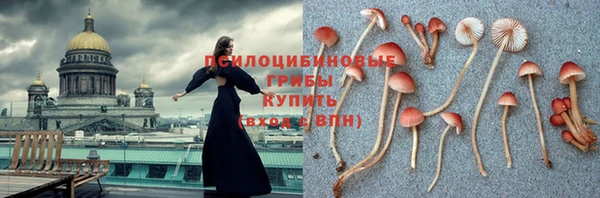 ешки Ельня