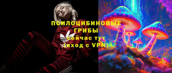 ешки Ельня