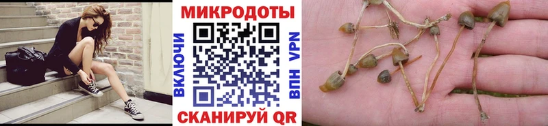 Псилоцибиновые грибы мицелий  Купить  Изобильный 